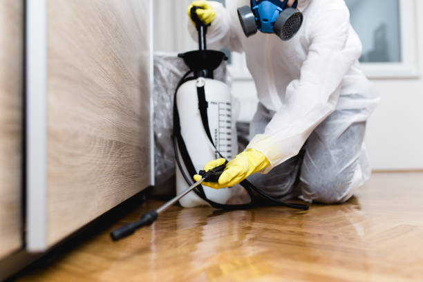 Best Exterminator Services  in Harper, TX