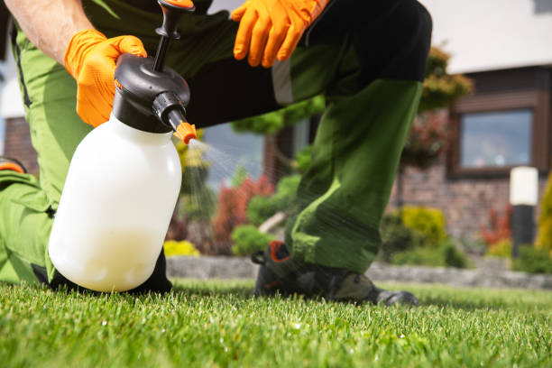 Pest Control for Restaurants in Harper, TX