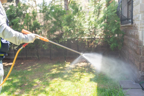 Best Emergency Pest Control  in Harper, TX