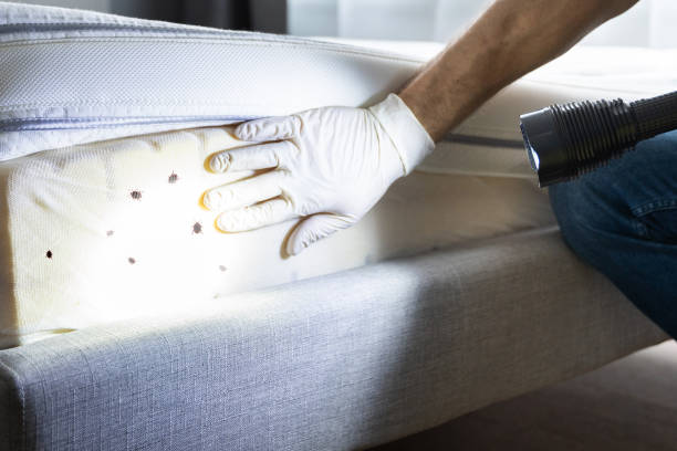 Best Commercial Pest Control Services  in Harper, TX