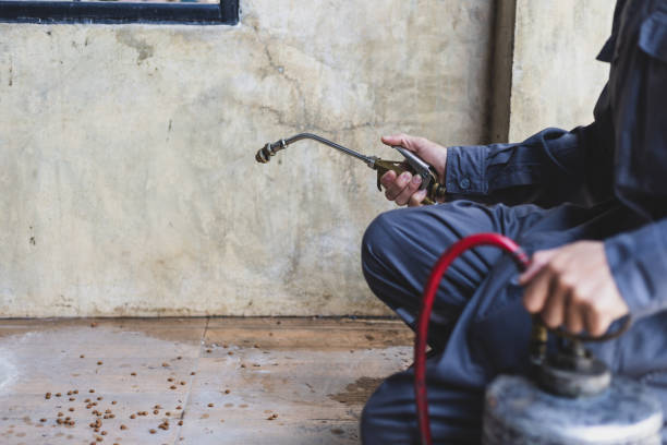 Reliable Harper, TX Pest Control Solutions