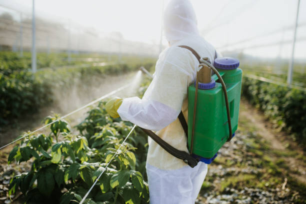 Best Wasp Removal Services  in Harper, TX